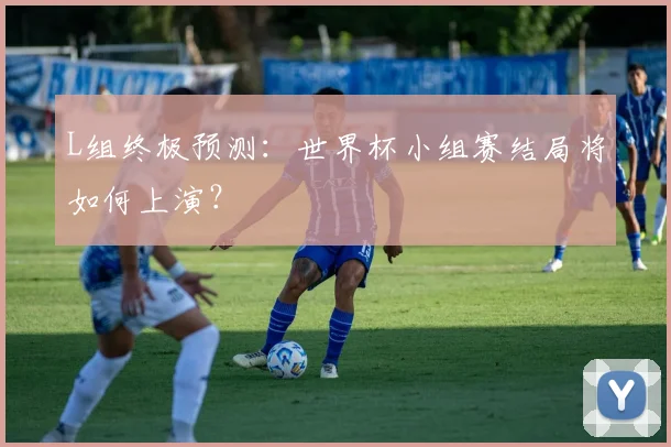 L组终极预测:世界杯小组赛结局将如何上演?