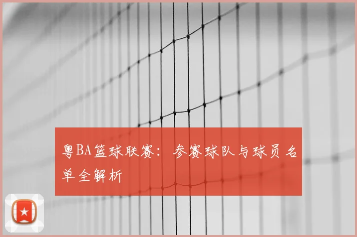 粤BA篮球联赛：参赛球队与球员名单全解析